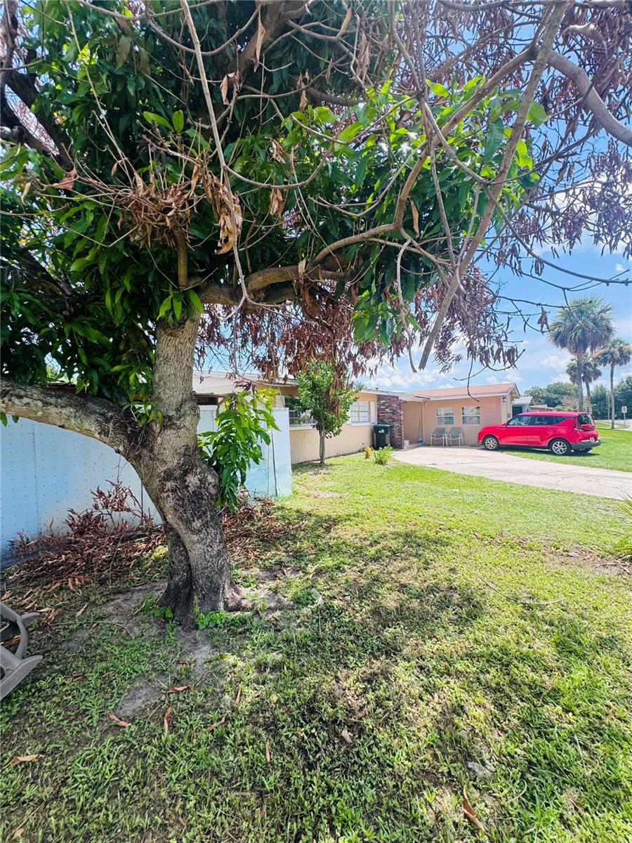 767 Forester Ave Property Photo 60