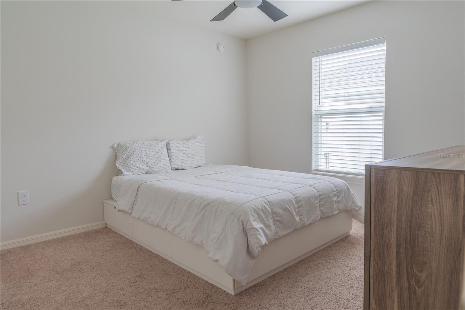 909 Montgomery Ln Property Photo 19