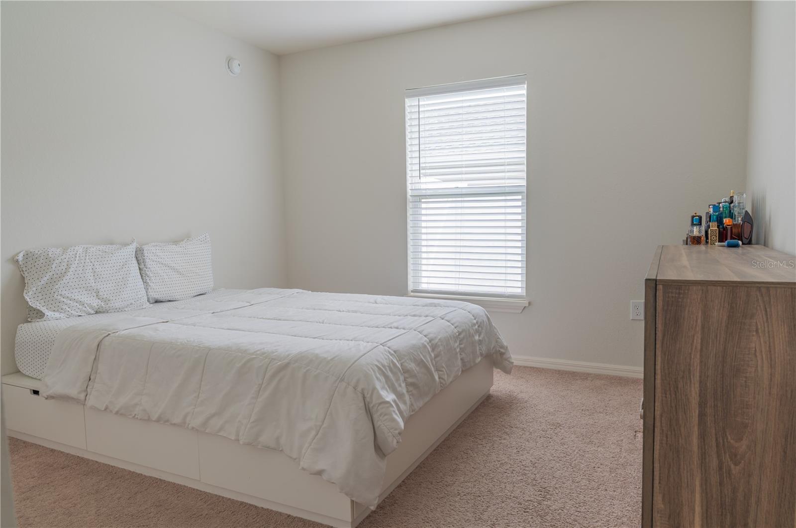 909 Montgomery Ln Property Photo 20