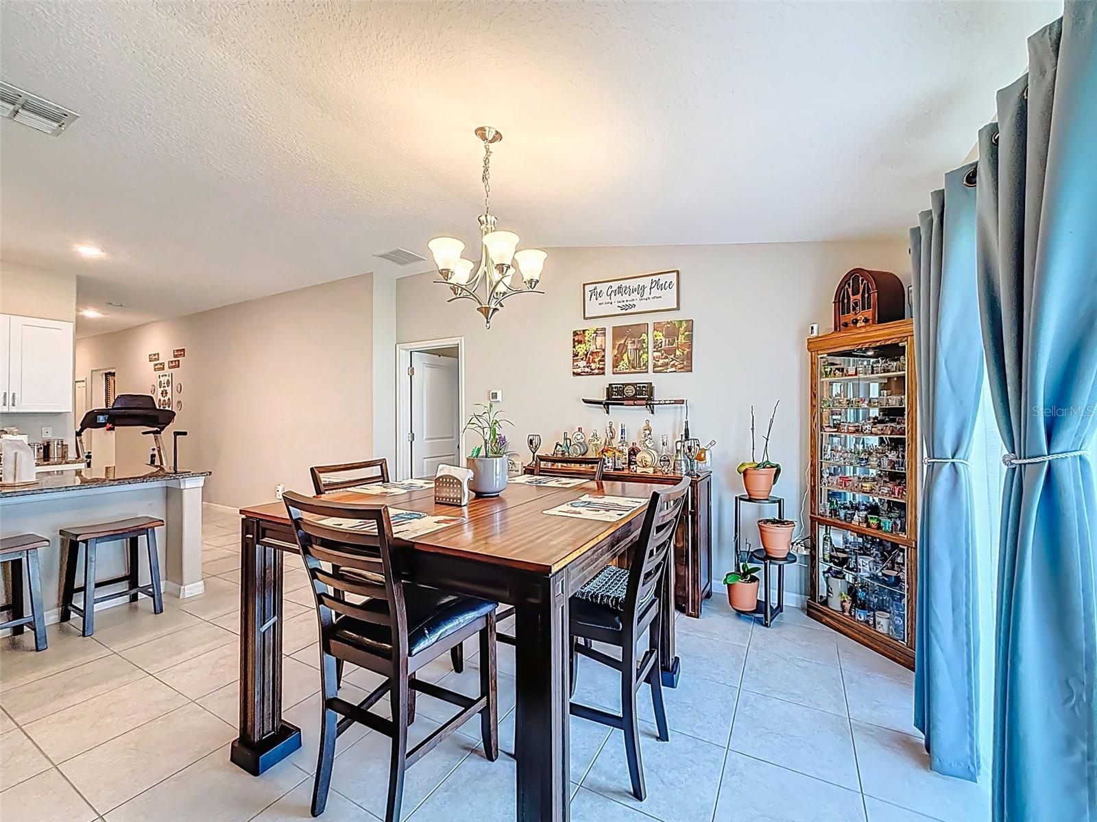 13360 Willow Bluestar Loop Property Photo 4