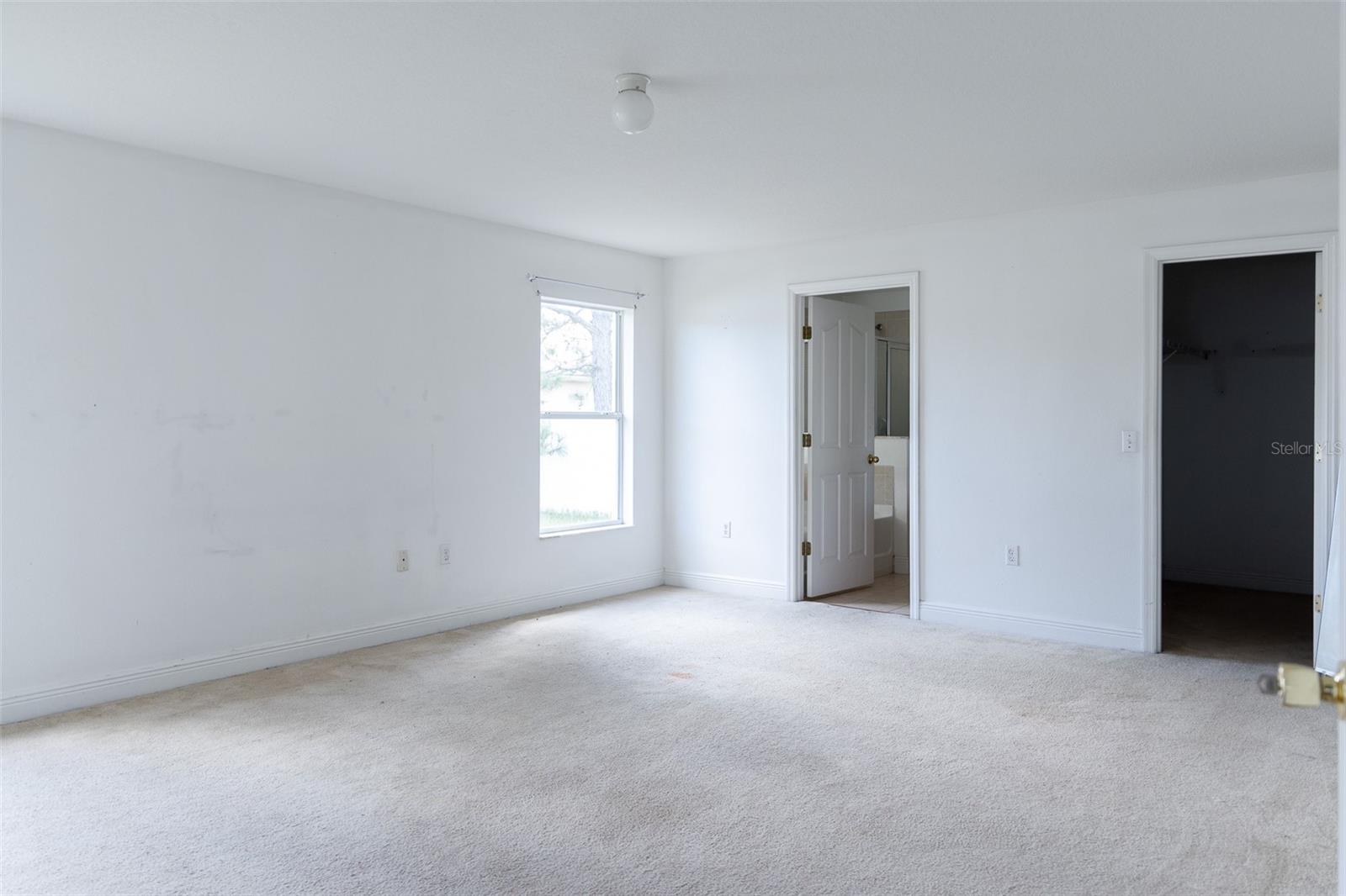 1631 Perdido Ct Property Photo 17