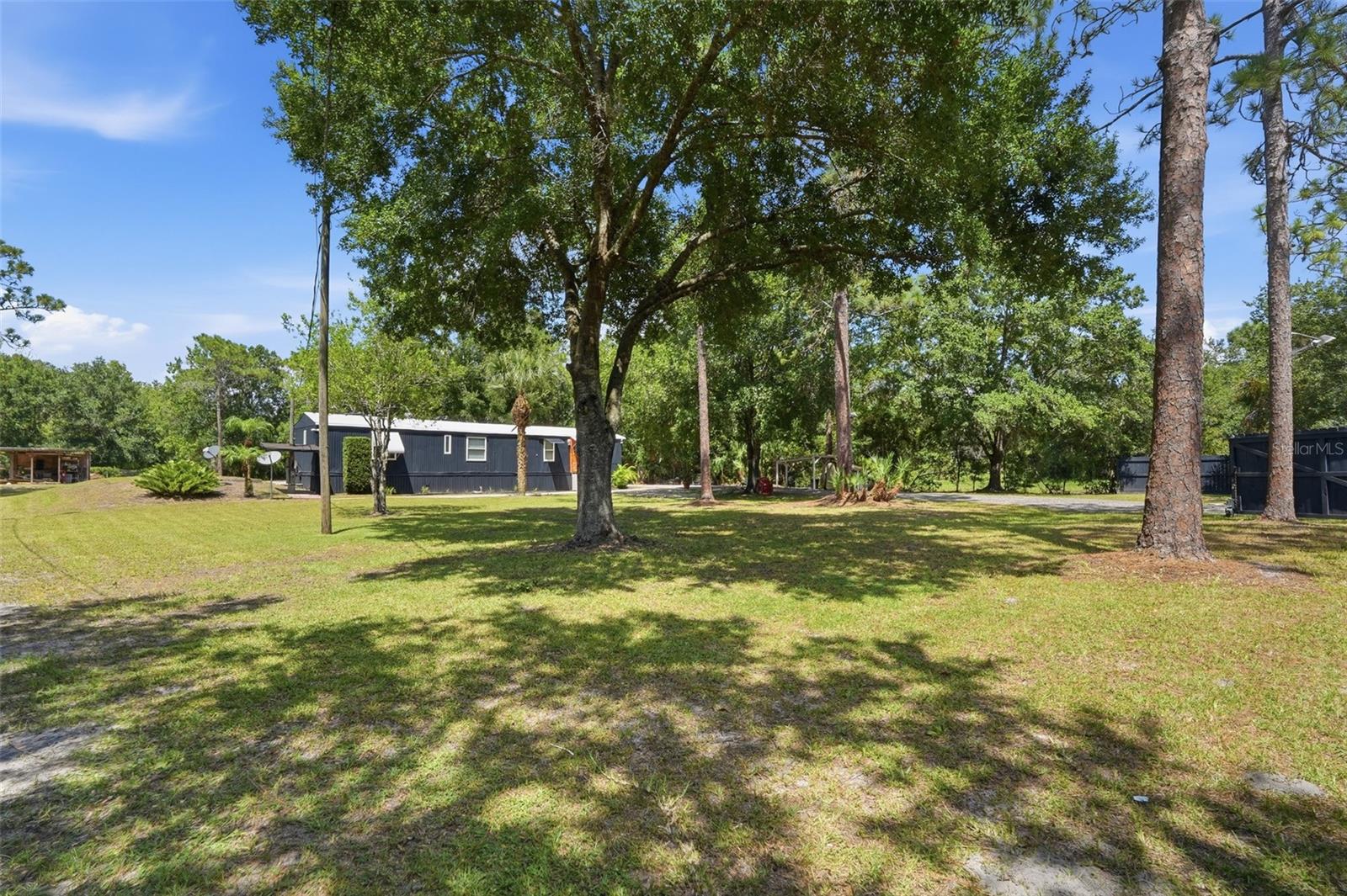 9295 Luna Dr Property Photo 22