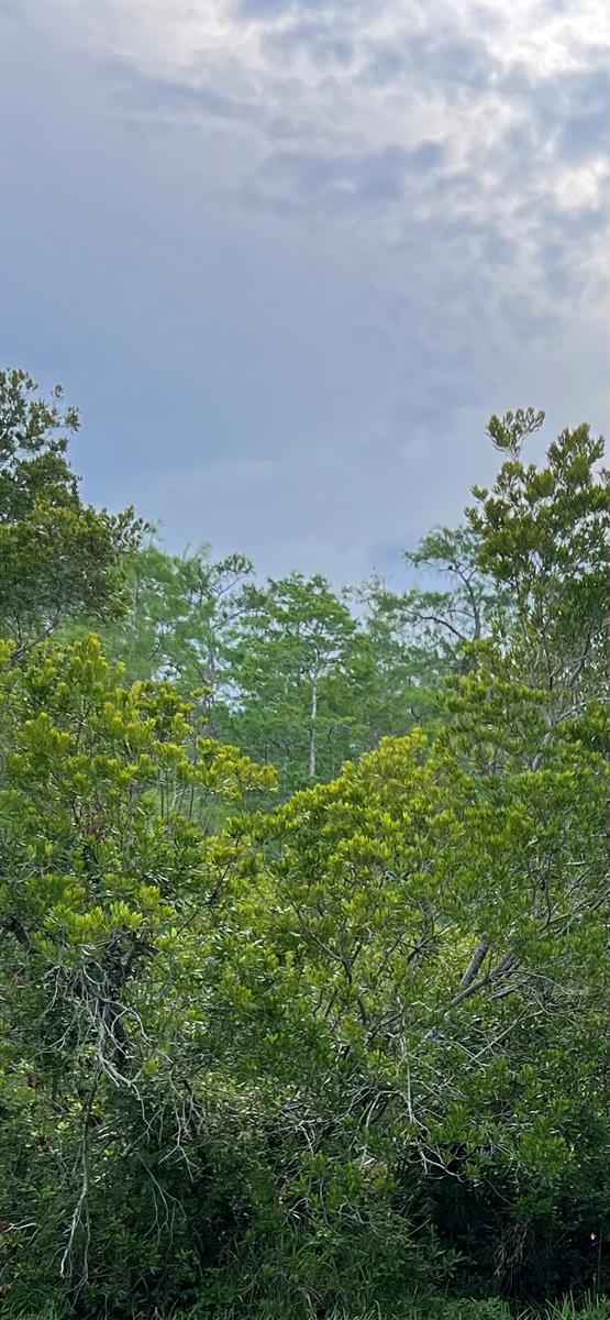 Malauka Loop Property Photo 1