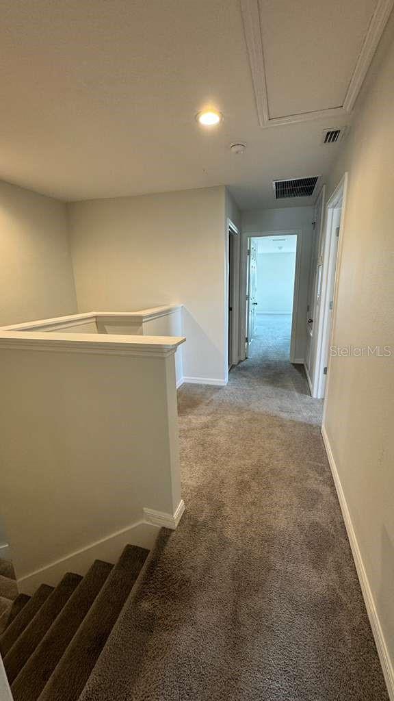 1298 Wispy Cypress Dr Property Photo 10