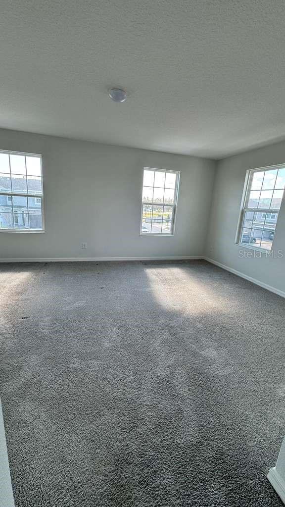 1298 Wispy Cypress Dr Property Photo 12