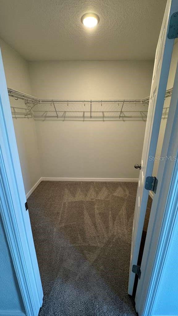 1298 Wispy Cypress Dr Property Photo 14