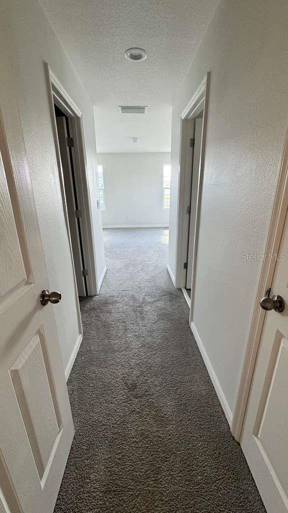 1298 Wispy Cypress Dr Property Photo 15