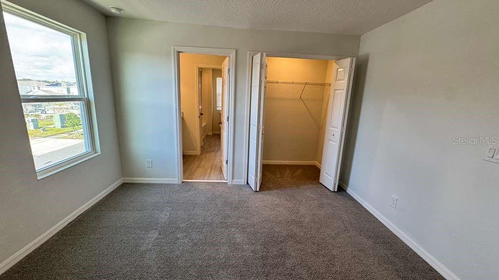 1298 Wispy Cypress Dr Property Photo 20