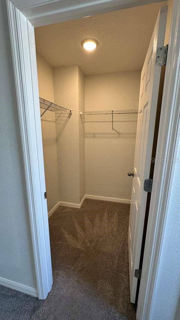 1298 Wispy Cypress Dr Property Photo 25