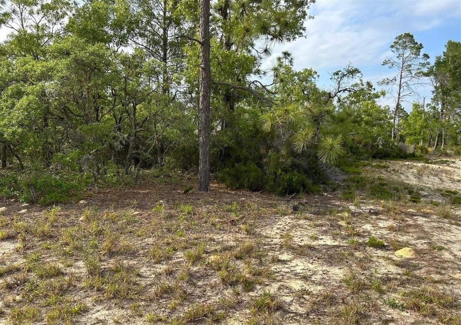 2923 W Pintado Dr Property Photo 5