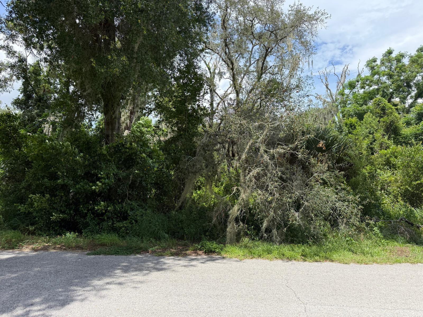 Clark Rd Property Photo 21