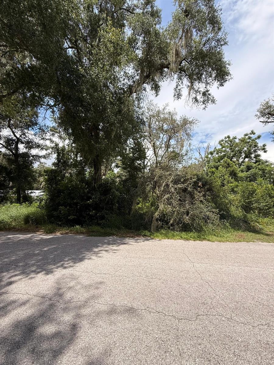 Clark Rd Property Photo 22