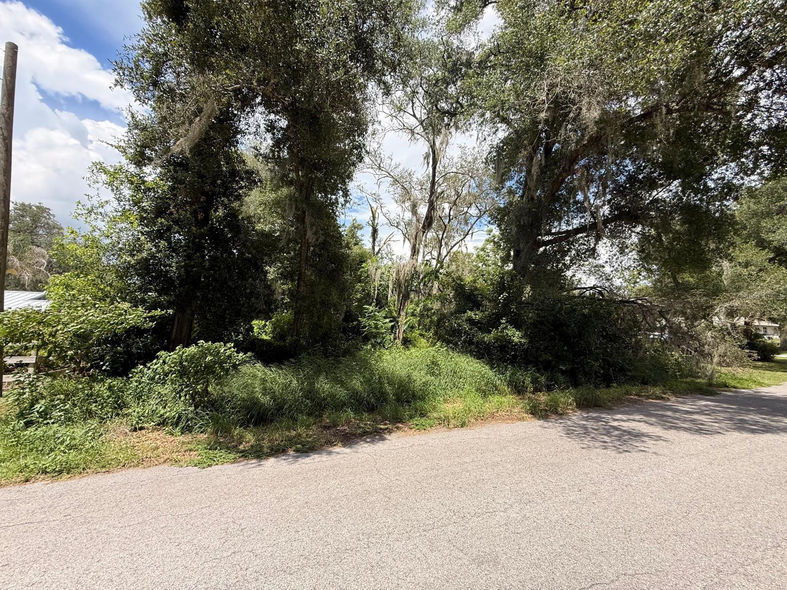 Clark Rd Property Photo 23