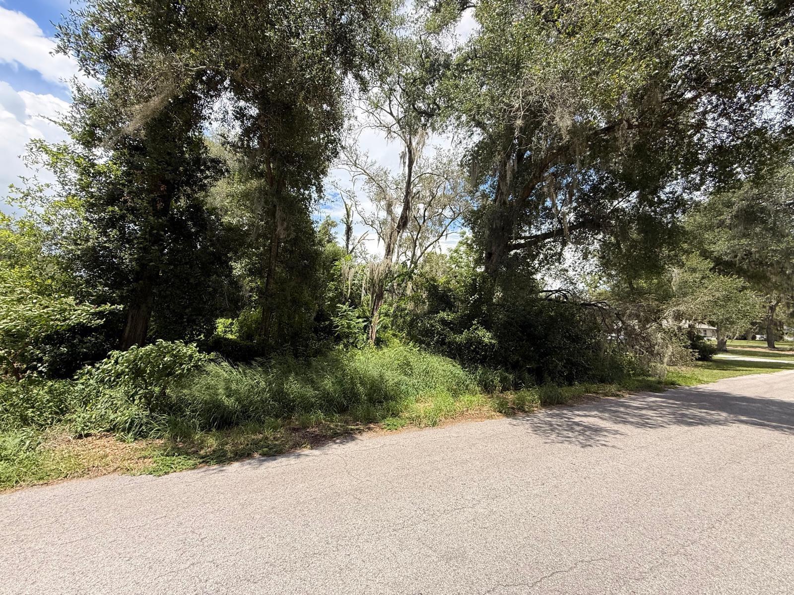Clark Rd Property Photo 24