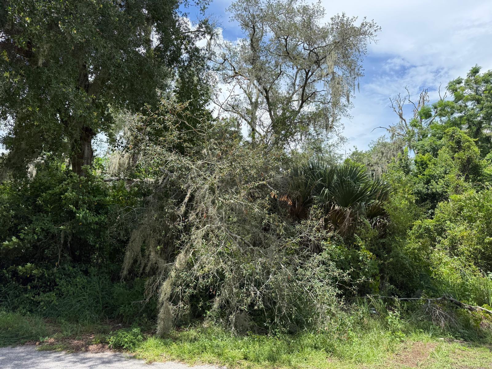 Clark Rd Property Photo 26