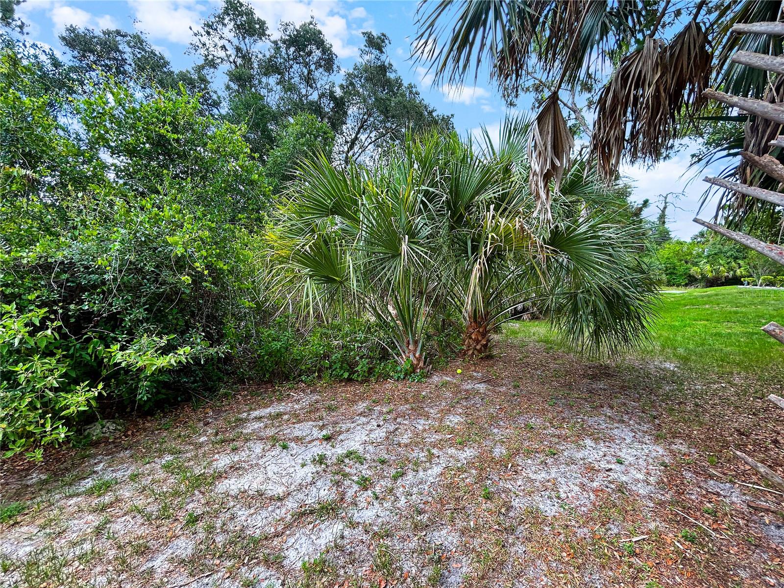 Ancient Rd Property Photo 16