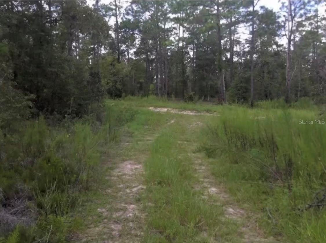 25TH PL LOT 16 SW 25TH PL Property Photo 1