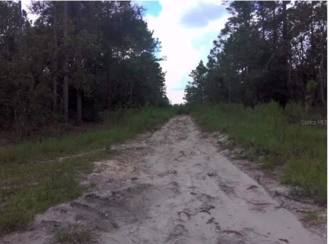 25th Pl Lot 16 Sw 25th Pl Property Photo 5