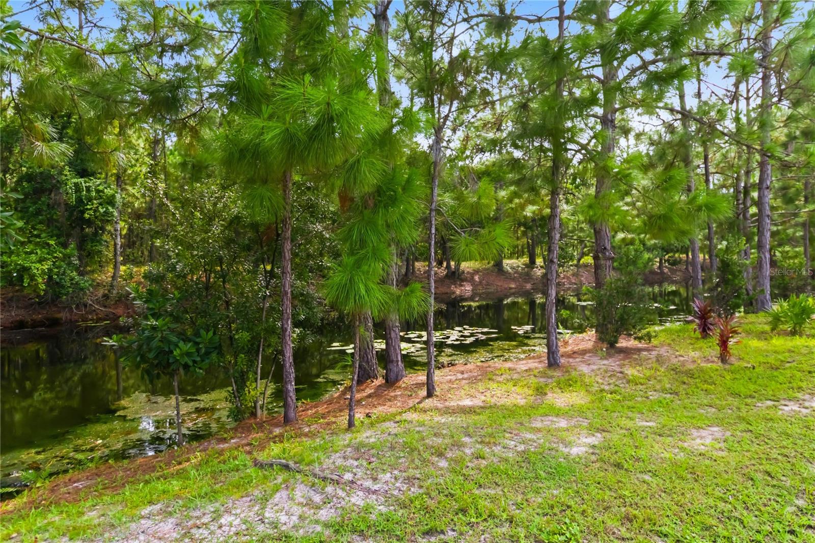 2916 Hooded Crane Cv Property Photo 23
