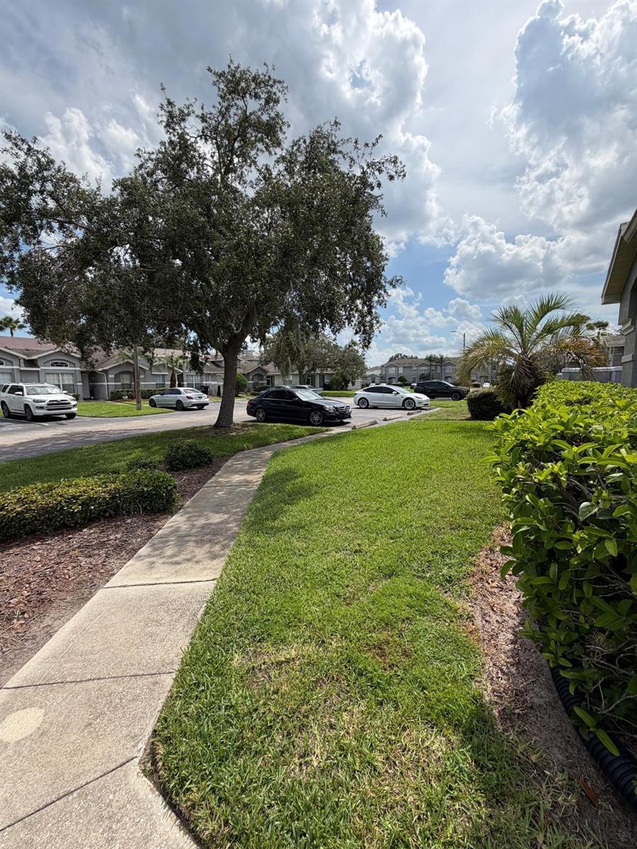 13121 Summerton Dr Property Photo 3