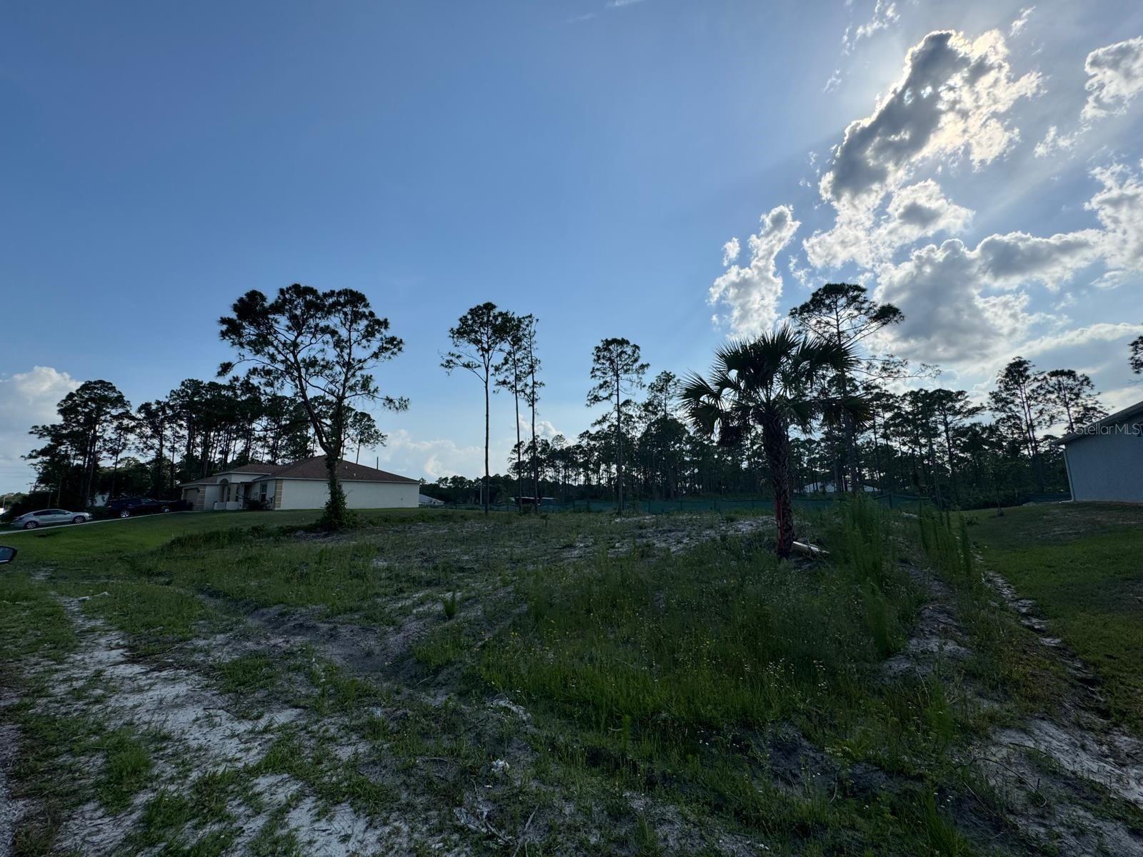 762 Harriet Property Photo 3