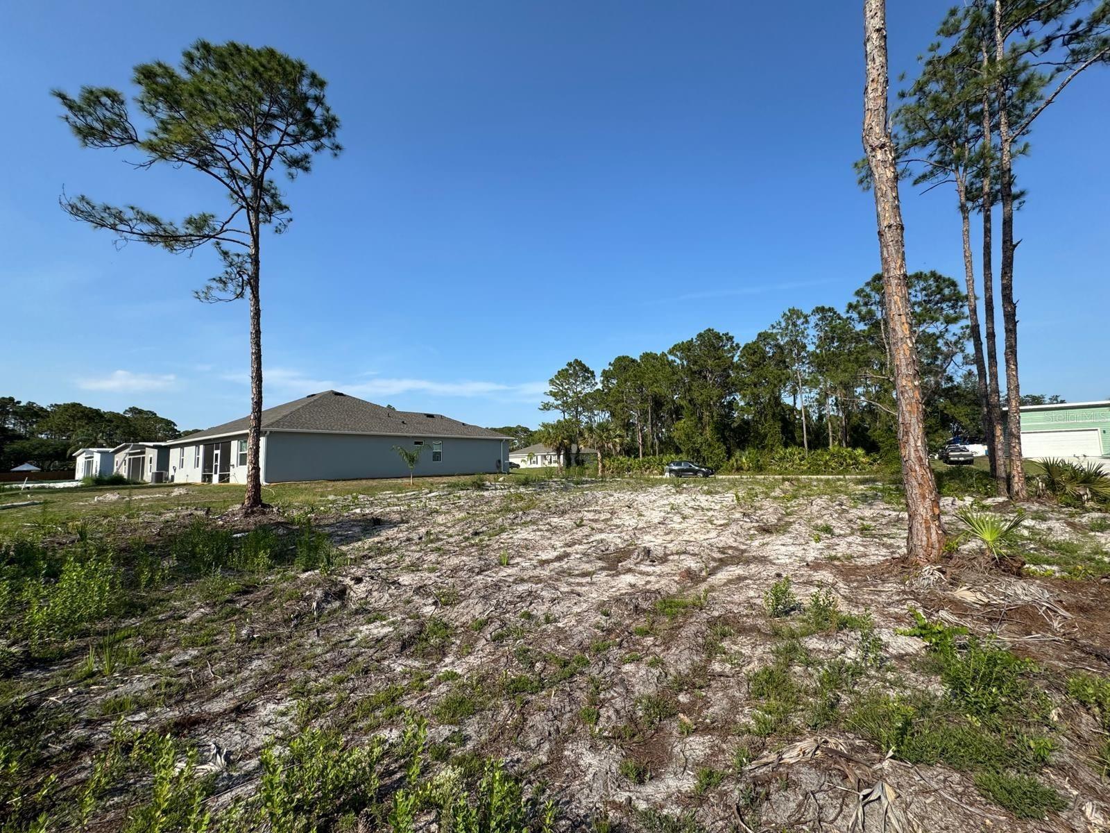 762 Harriet Property Photo 4