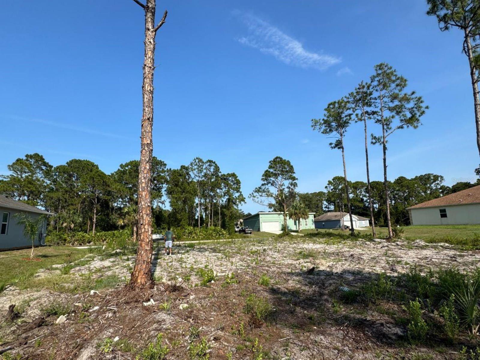 762 Harriet Property Photo 5