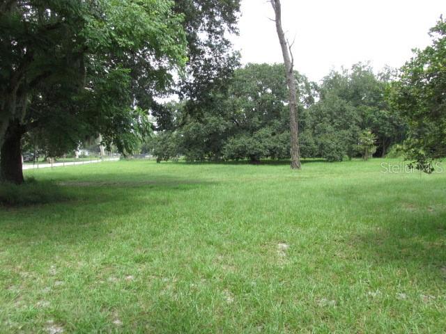5500 Lake Lizzie Dr Property Photo 14