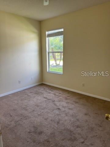 3321 Pawleys Loop N Property Photo 5