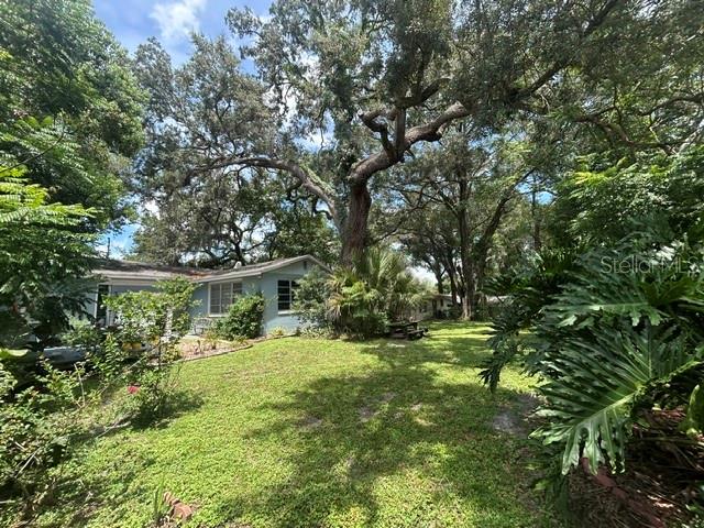 2455 Royal Rd Property Photo 18