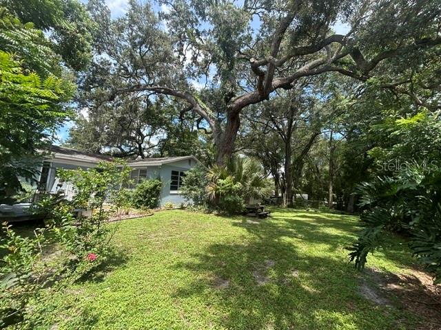 2455 Royal Rd Property Photo 19
