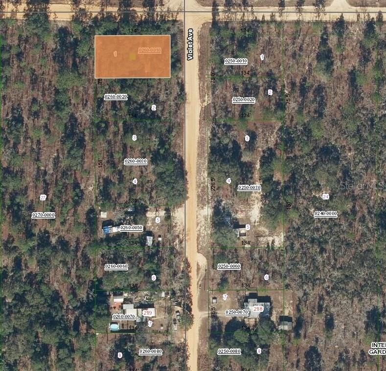231 VIOLET AVE Property Photo 1