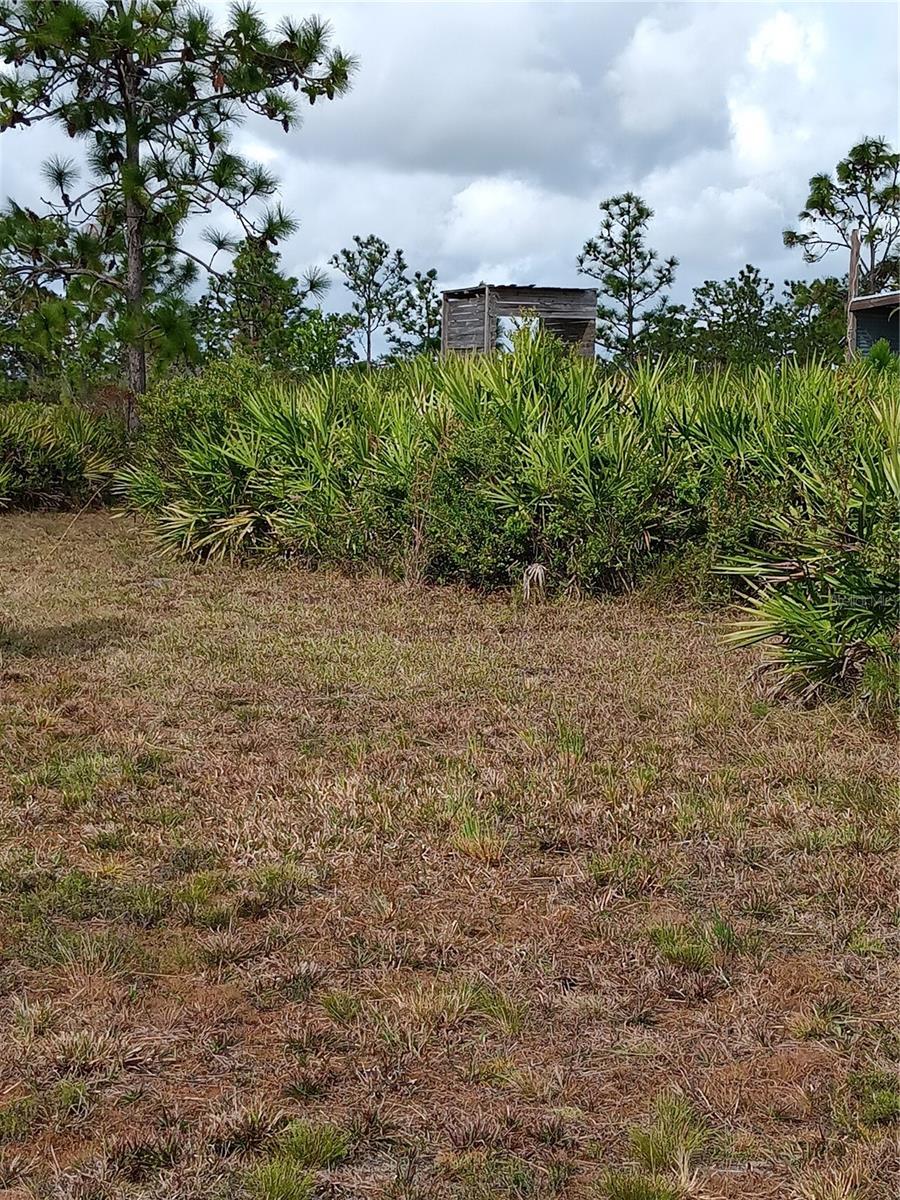 Holopaw Groves Rd Property Photo 5
