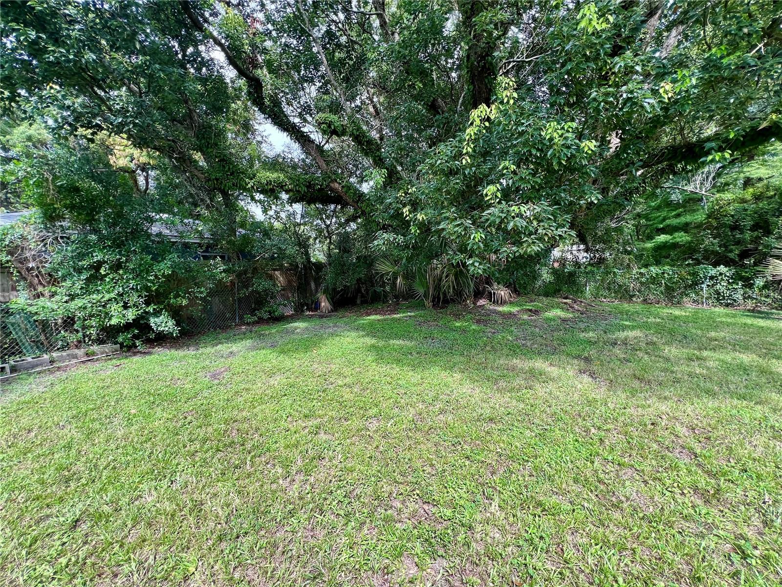 1517 Riley Ave Property Photo 27