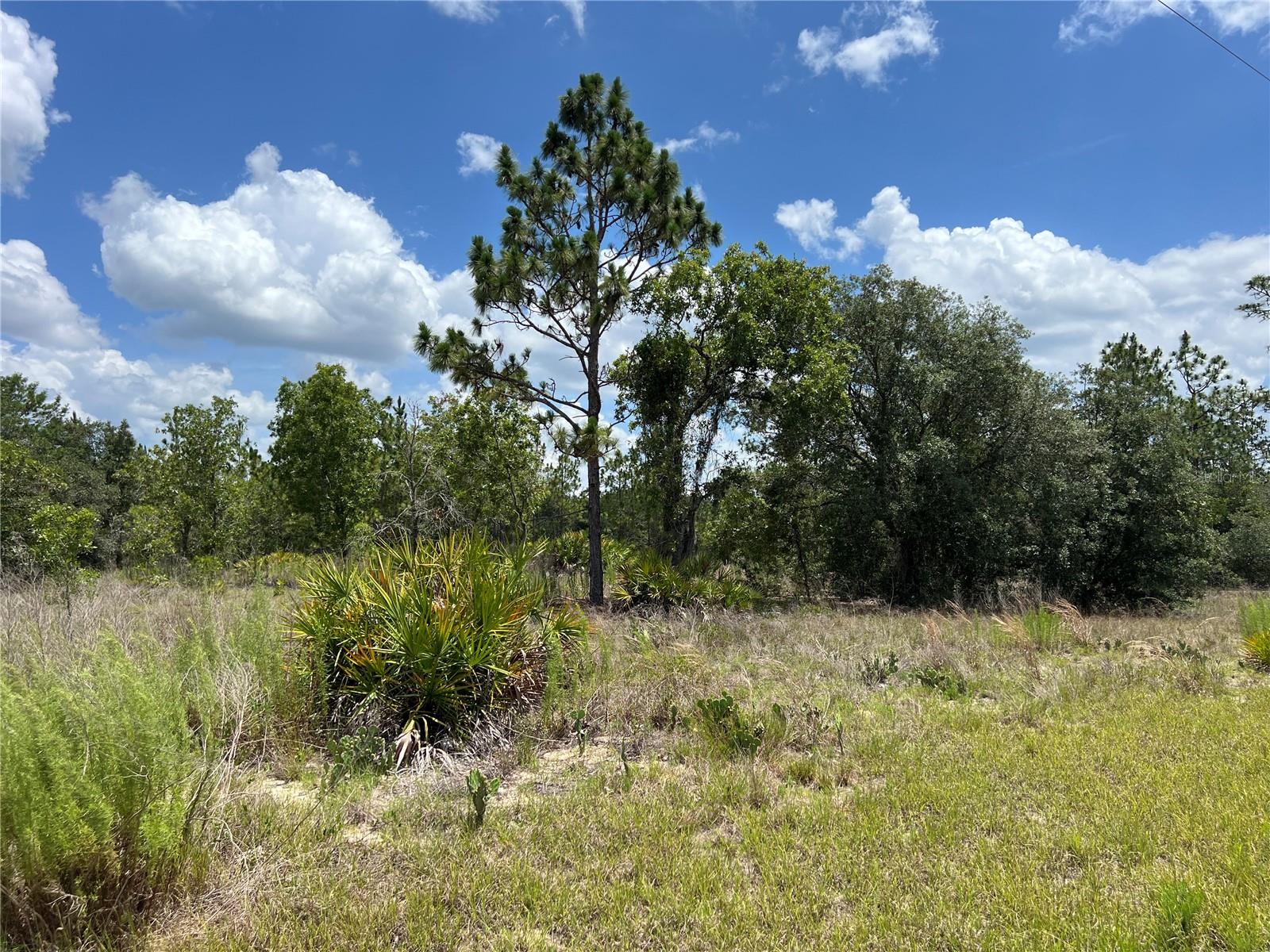 3323 W Hampshire Blvd Property Photo 3