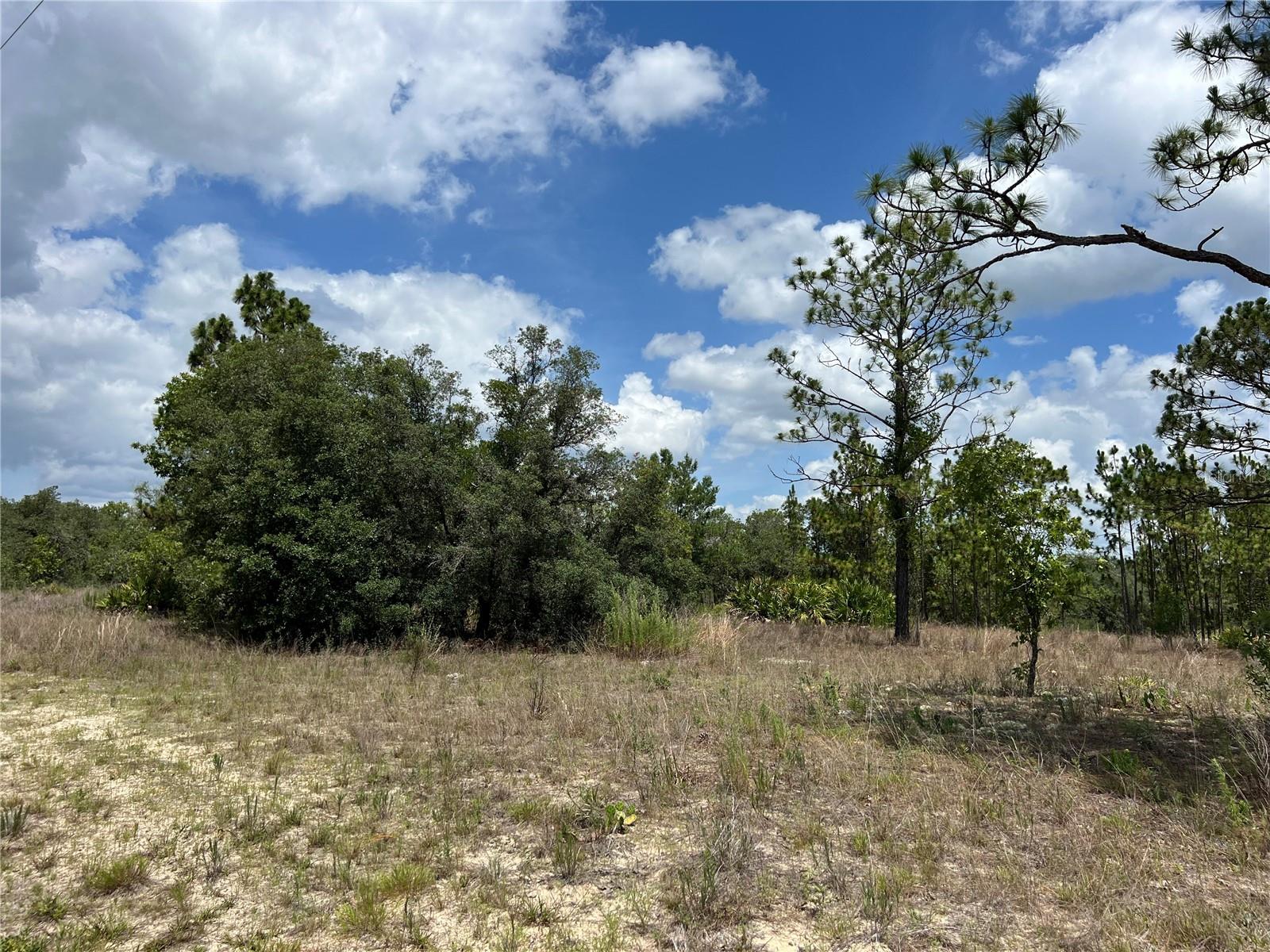 3323 W Hampshire Blvd Property Photo 5