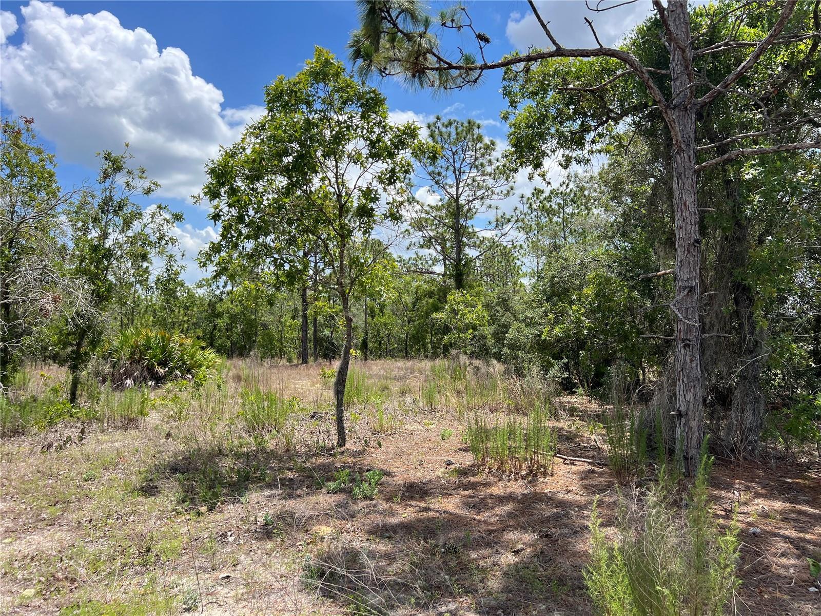 3323 W Hampshire Blvd Property Photo 7