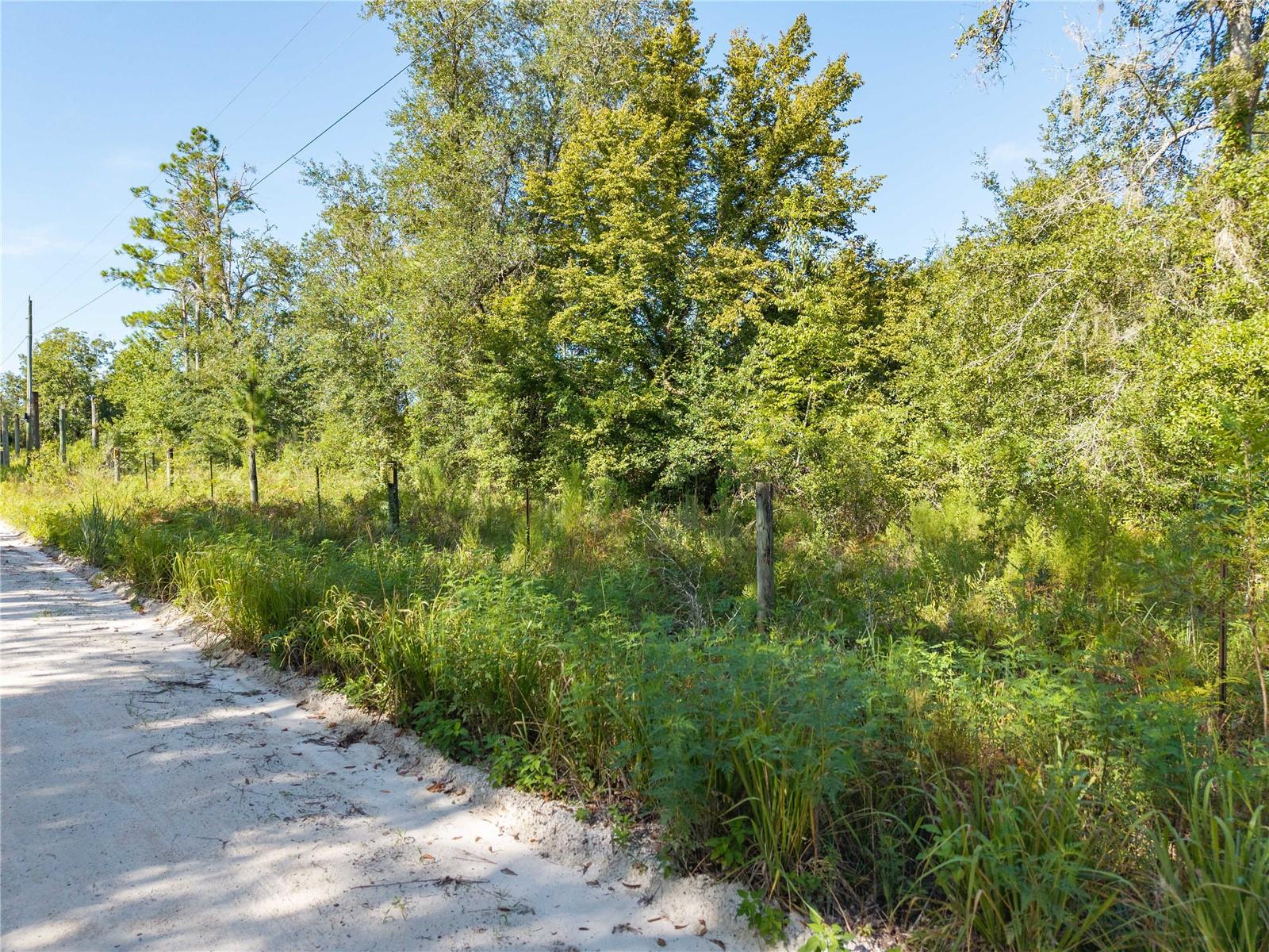 3901 181st Rd Property Photo 10
