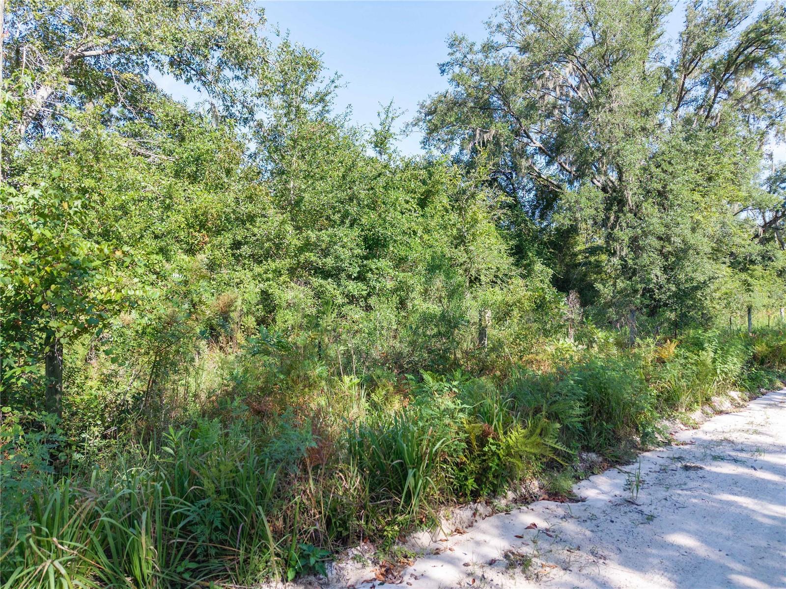 3901 181st Rd Property Photo 11