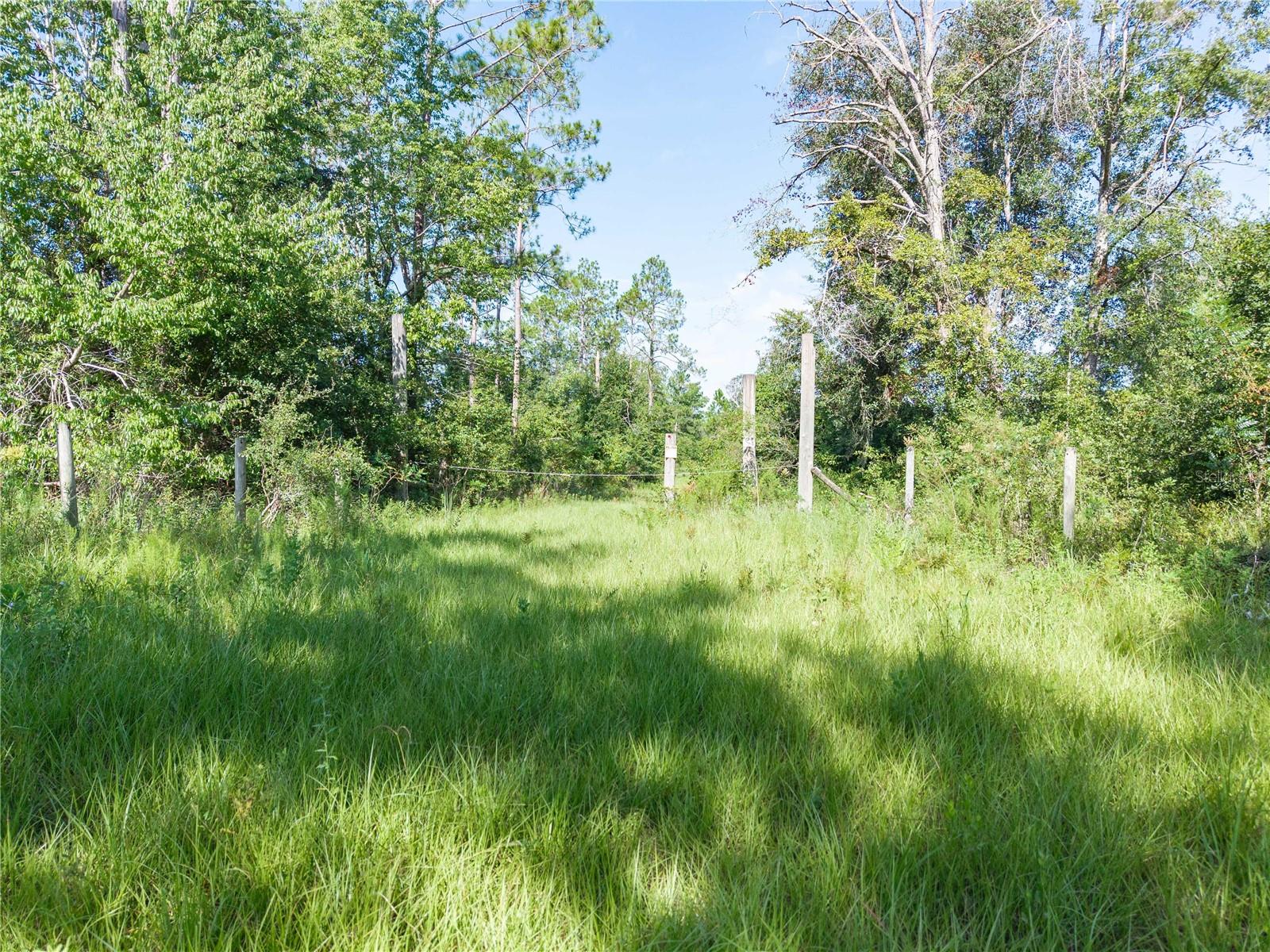 3901 181st Rd Property Photo 12
