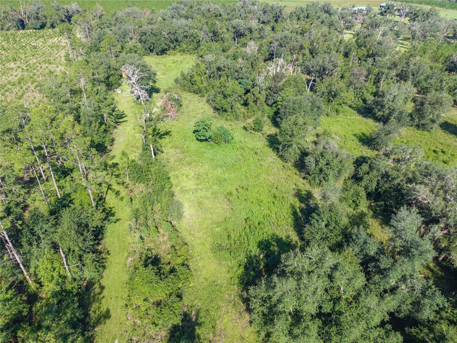 3901 181st Rd Property Photo 14