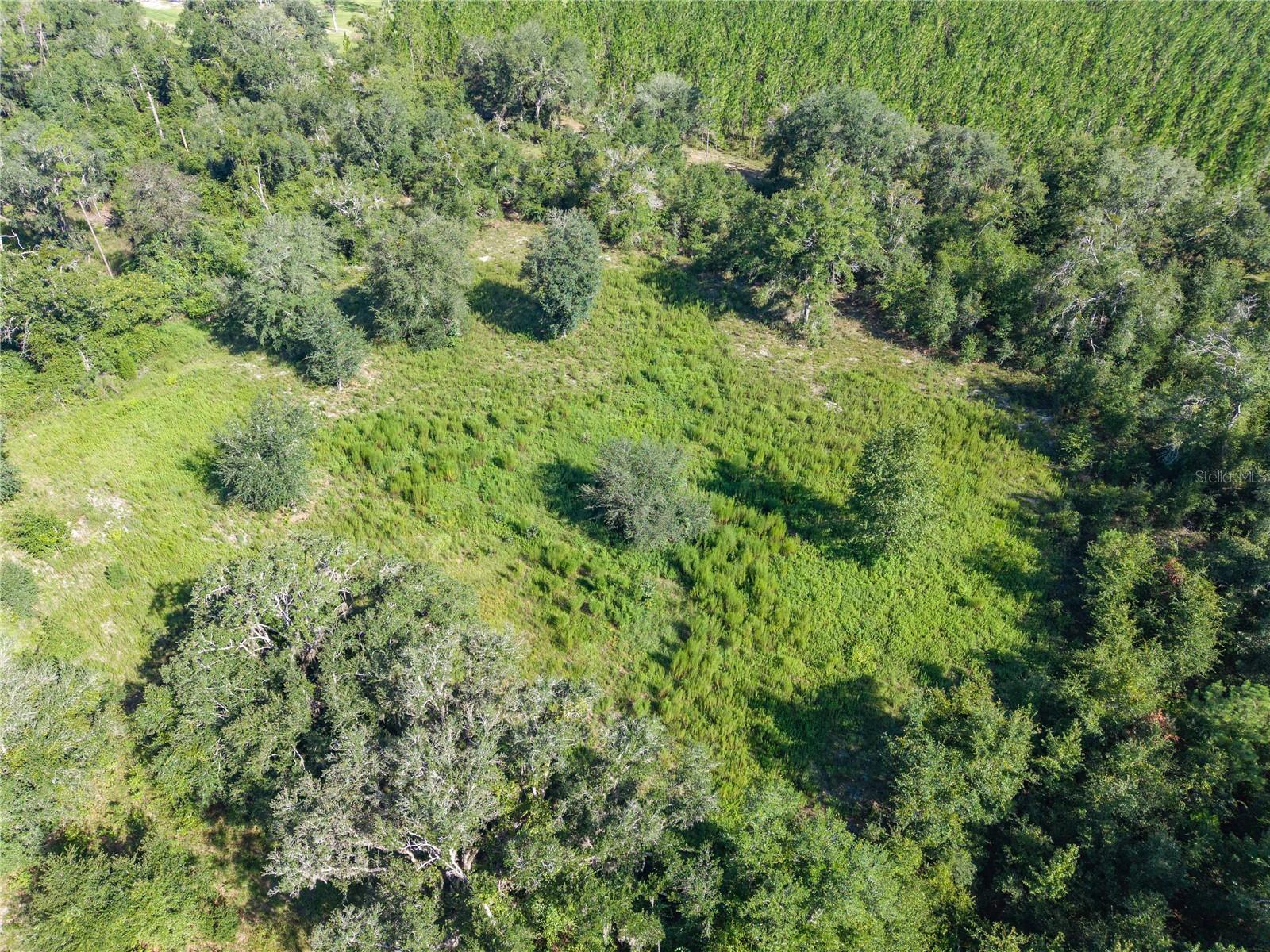 3901 181st Rd Property Photo 15