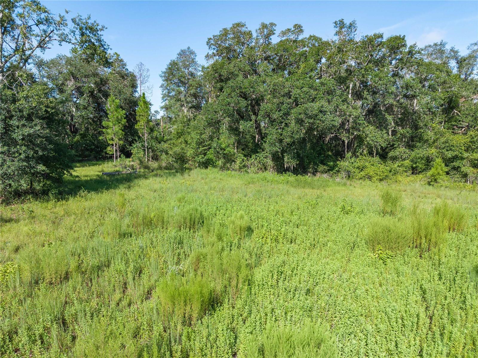 3901 181st Rd Property Photo 23