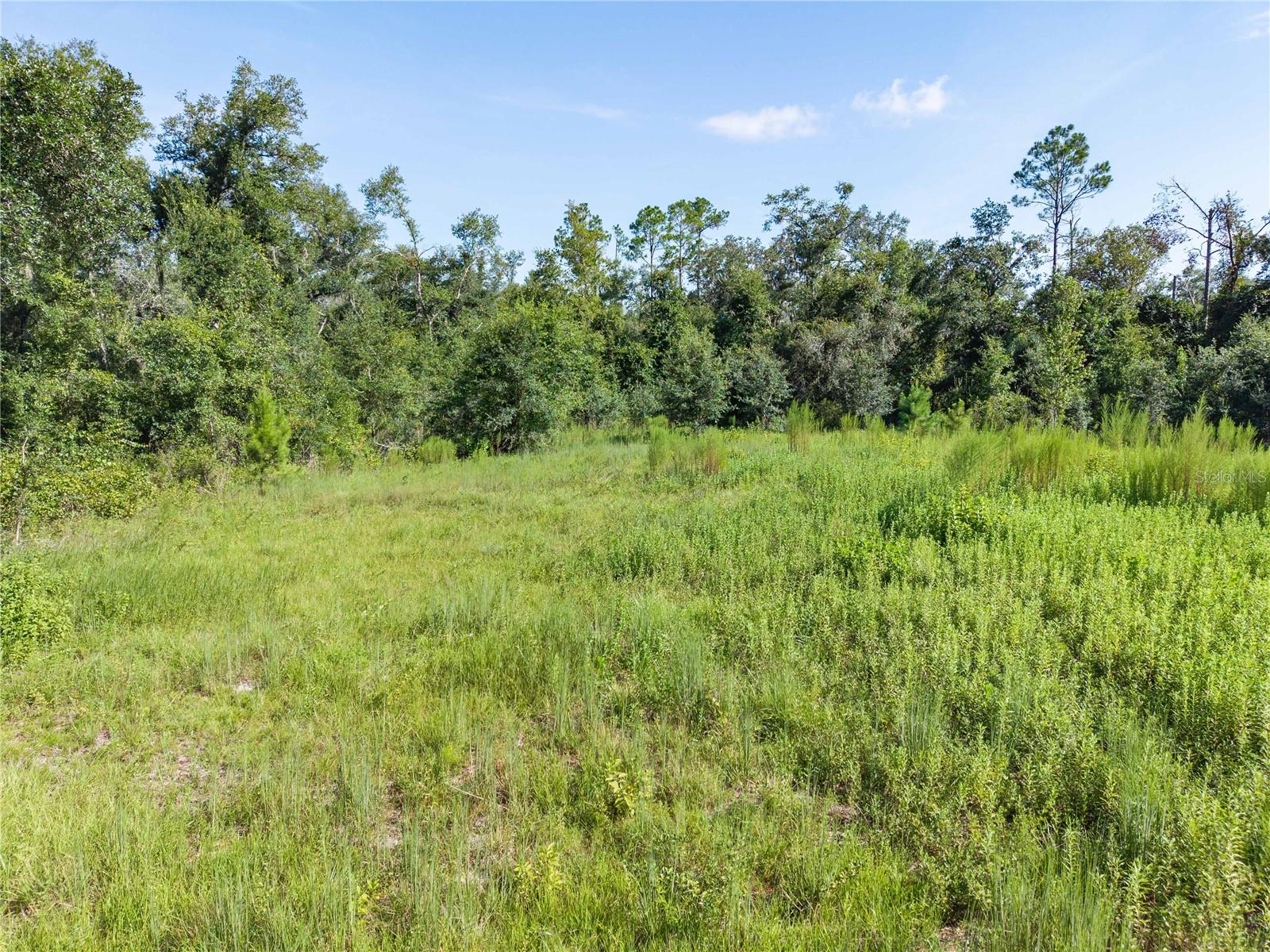 3901 181st Rd Property Photo 24