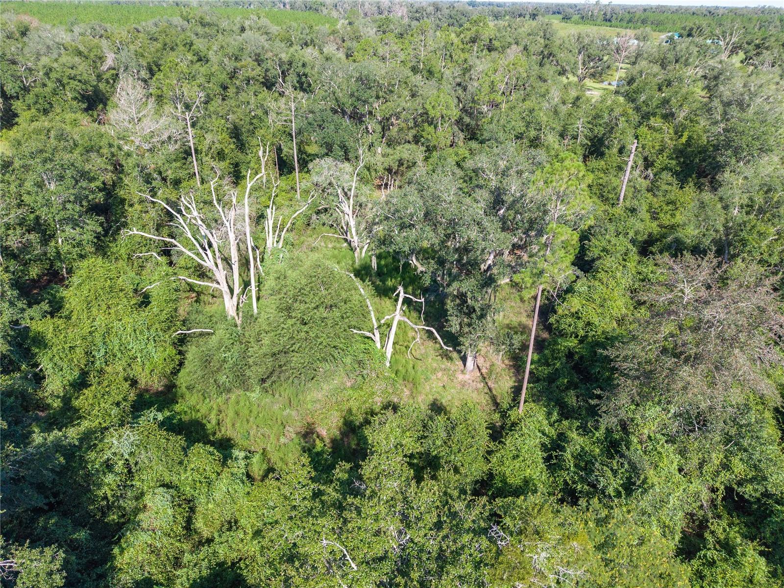 3901 181st Rd Property Photo 26