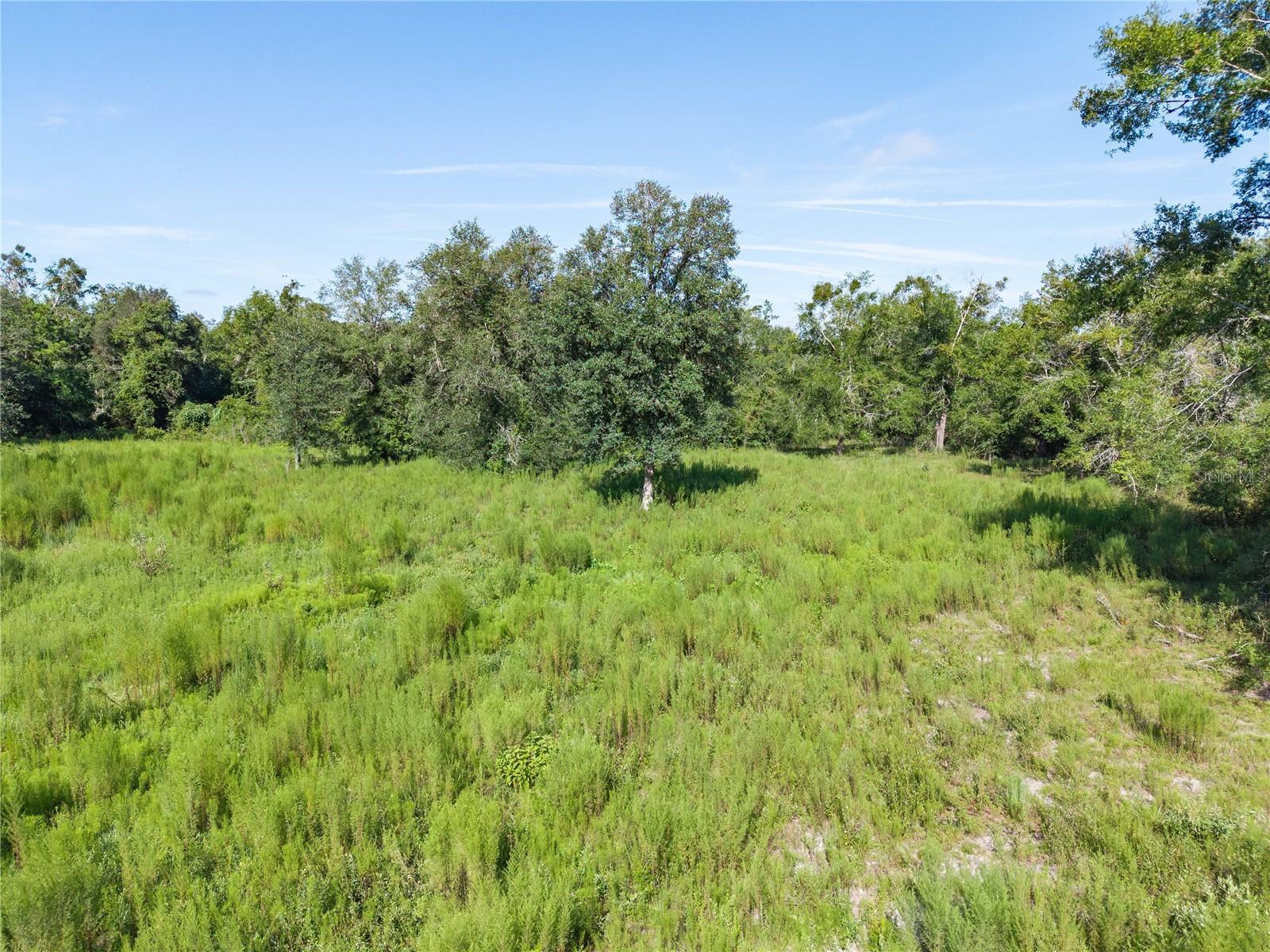 3901 181st Rd Property Photo 27