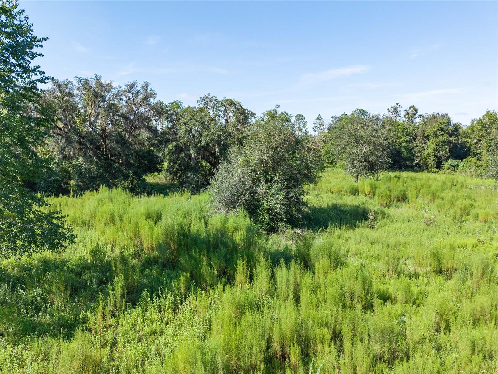 3901 181st Rd Property Photo 28