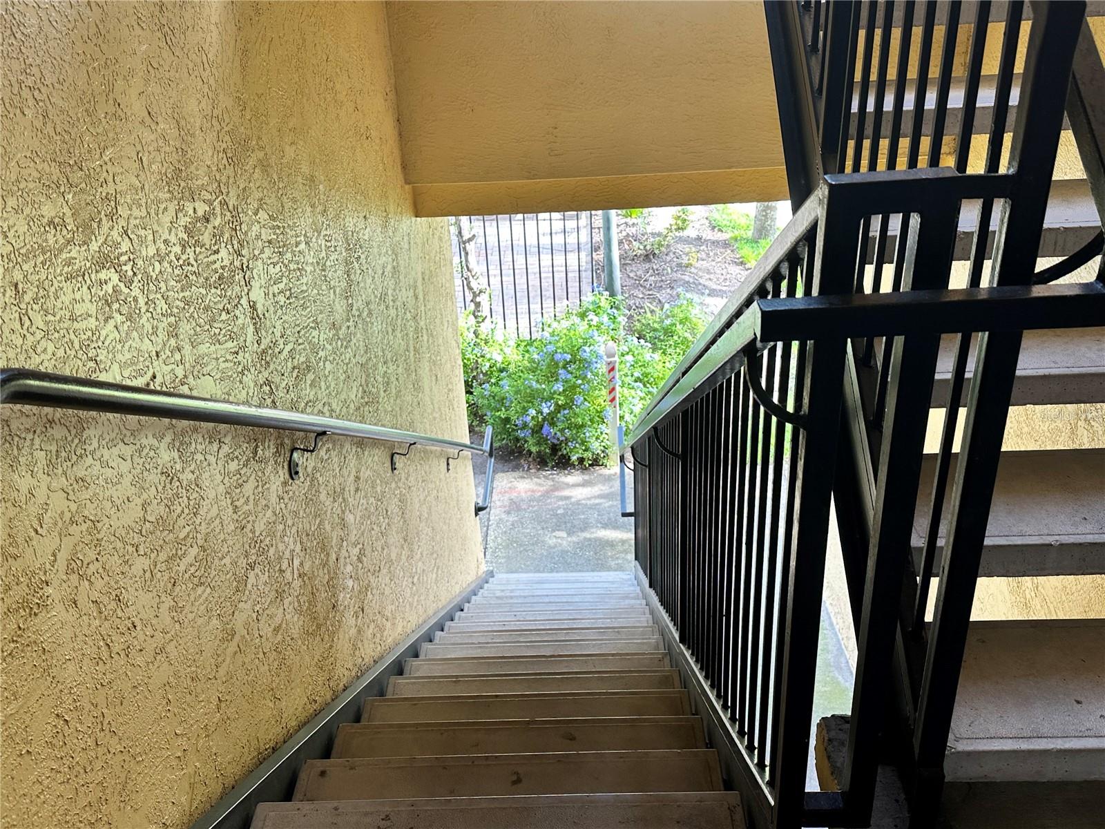 3502 Windy Walk Way #2203 Property Photo 37