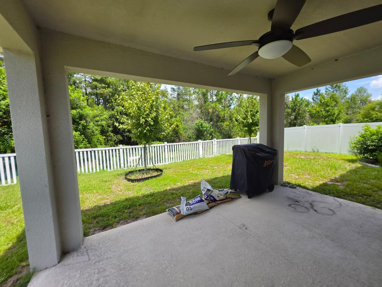 4382 Southern Vista Loop Property Photo 33