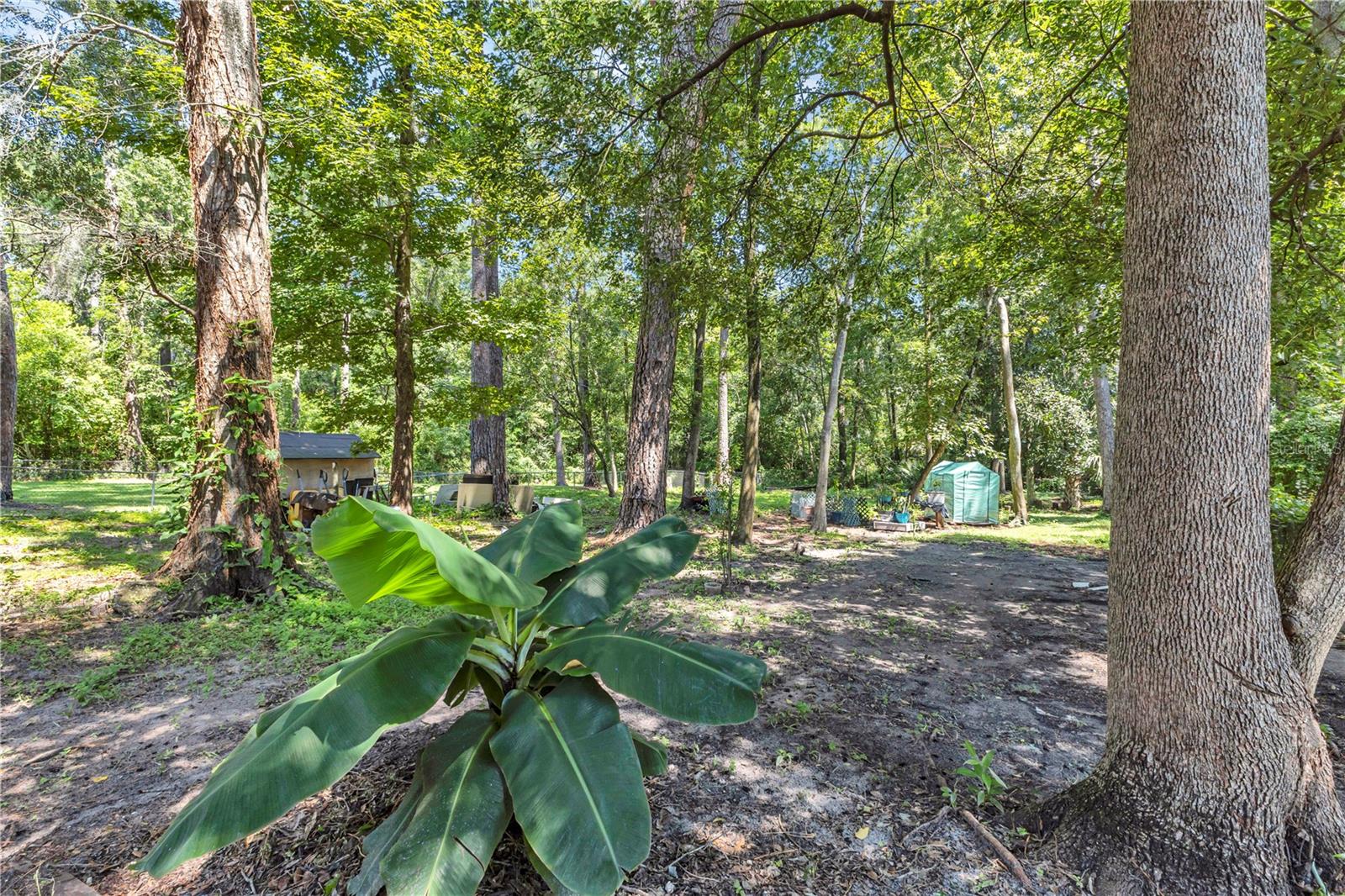 7903 Lemans Dr Property Photo 38